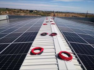 Large area of rooftop solar panels on a supermarket in Italy, part of a large solar project by Eco Green Energy
