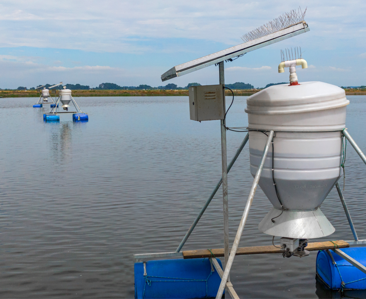 Automatic AQ1 Shrimp Feeder powered by EGE PV Modules in