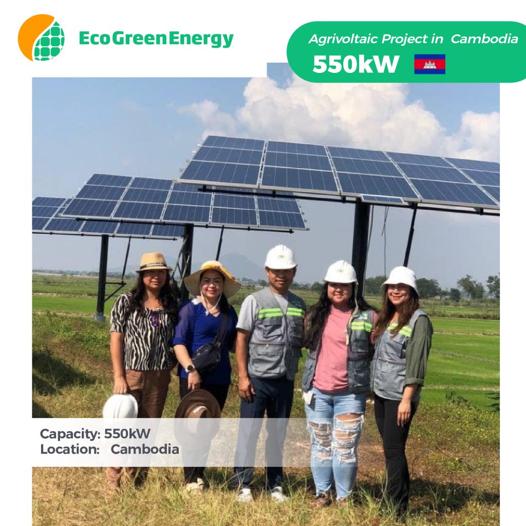 On-Grid Agrivoltaic System 